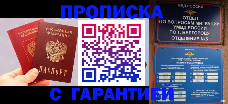 прописка 2025 в Северске